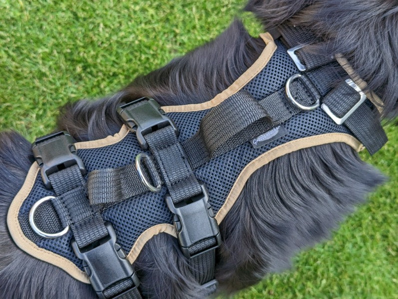 Grossenbacher variables mitwachsendes Hundegeschirr Vary an einem Hovawart