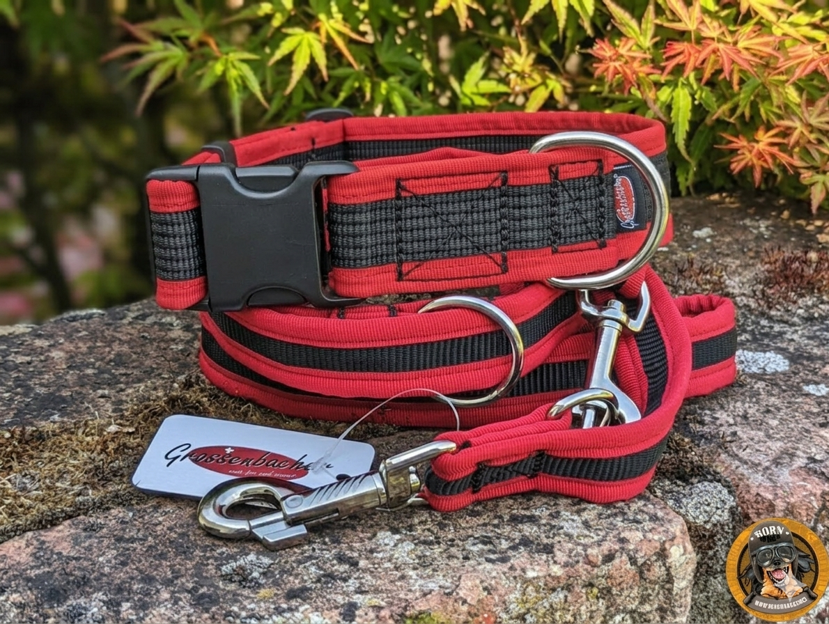 Rotes Hundehalsband mit Leine