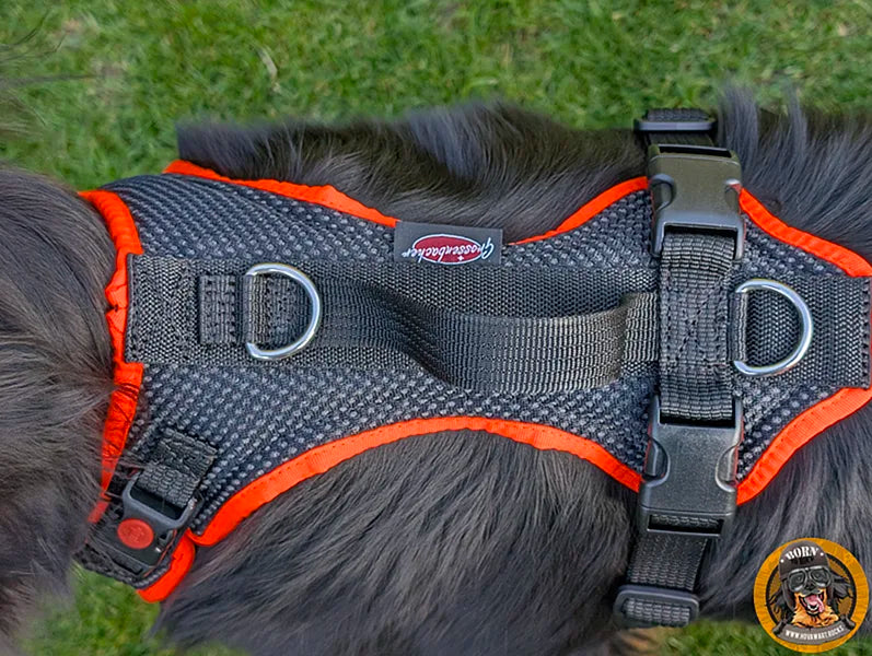 Hundegeschirr für große Hunde
