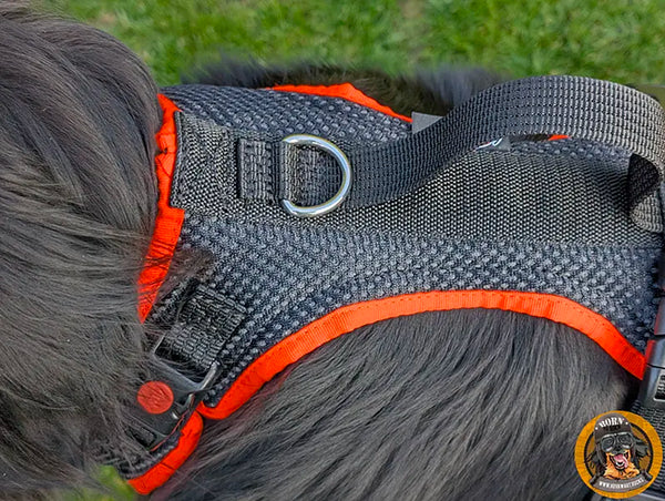 Hundegeschirr für große Hunde