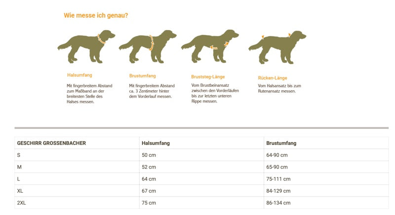 Hundemessung und Größentabelle Ausrüstung