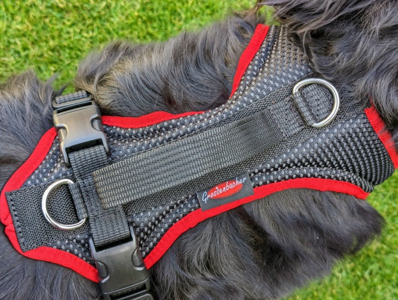 Hundegeschirr für große Hunde