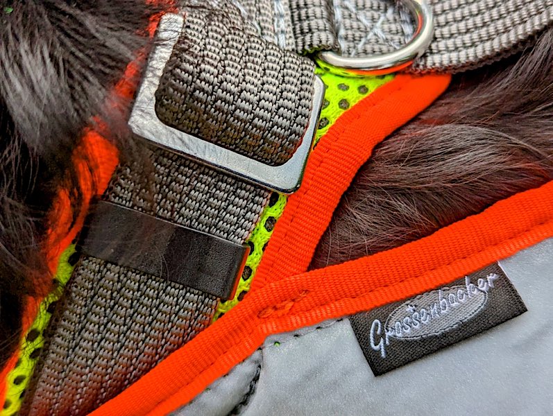 Hundegeschirr Detailaufnahme mit Label