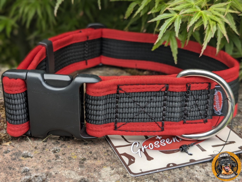Robustes Hundehalsband für große Hunde
