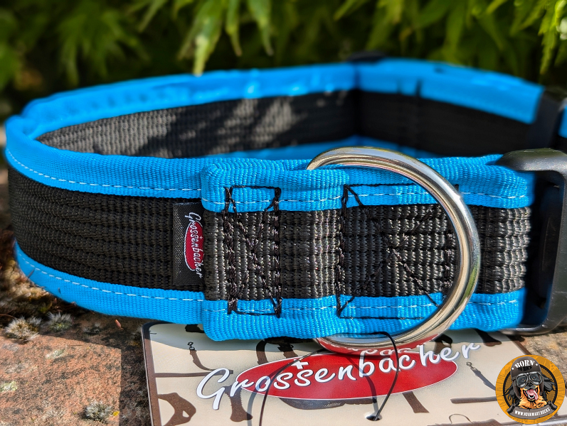 4cm breites Halsband für grosse Hunde auf einer Mauer im Sonnenlicht
