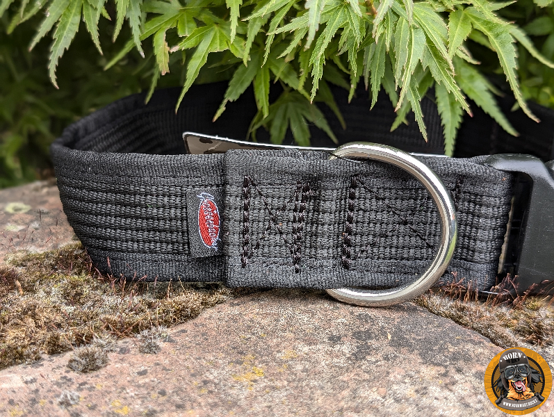 Schwarzes Hundehalsband auf Stein