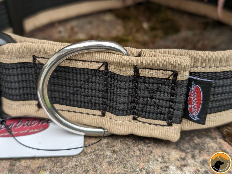 Robustes Hundehalsband für große Hunde