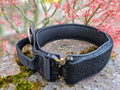 Schwarzes Hundehalsband auf Stein