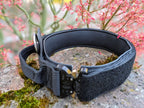 Schwarzes Hundehalsband auf Stein