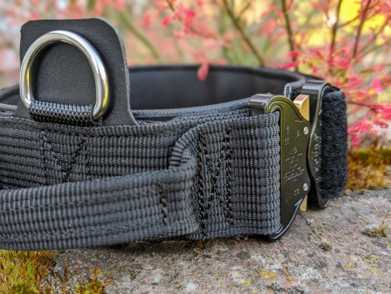 Schwarzes Hundehalsband auf Stein