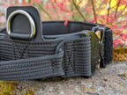 Schwarzes Hundehalsband auf Stein