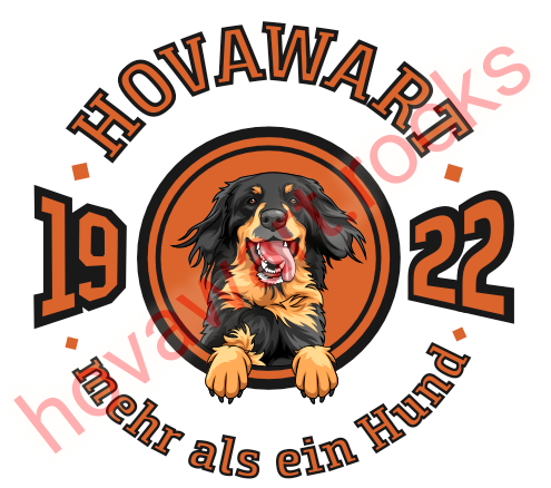 Großer Hovawart-Hund, freundlicher Ausdruck