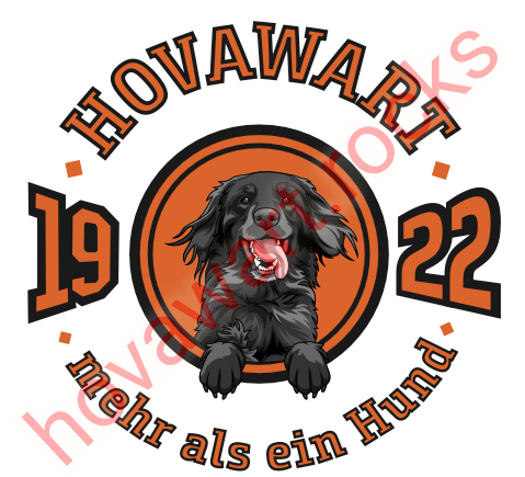 Schwarzer Hund, Schriftzug, orange Hintergrund