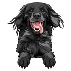 Schwarzer großer Hund, fröhlich blickend
