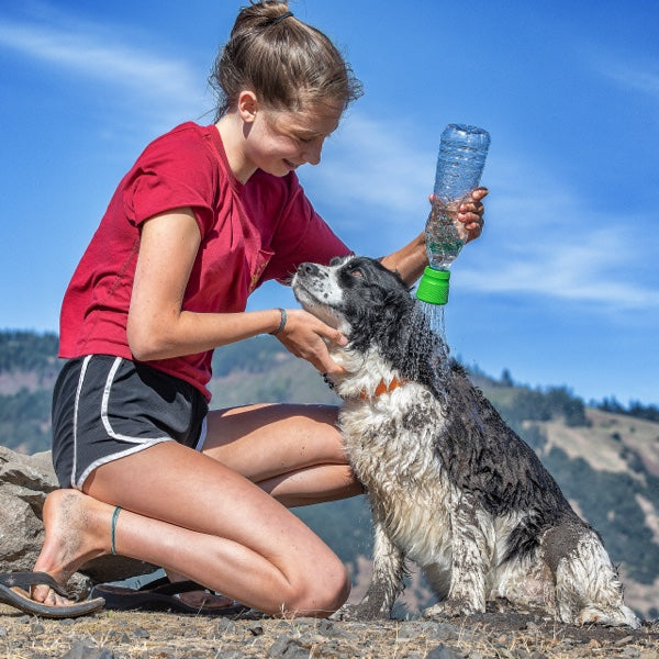 Hunde-Reise-Dusche
