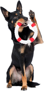 Hund mit Hundespielzeug Rettungsring Rita