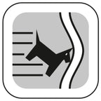 Hund läuft an Leine schnell