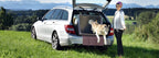 Hund spring aus der Tami Hundebox