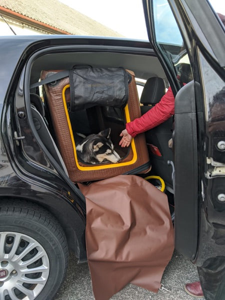 Hundebox für den Rücksitz für große Hunde wie den Hovawart oder Schäferhund