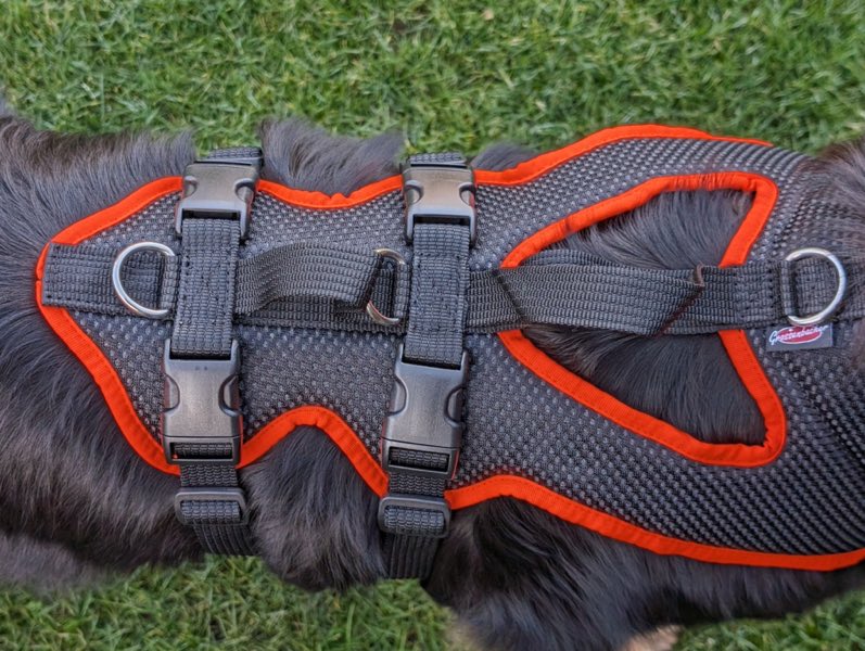 Hundegeschirr für große Hunde