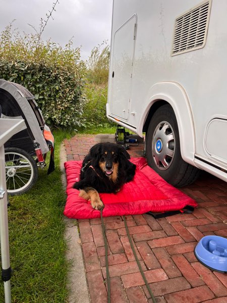 Reisebettdecke Hovawart vor einem Wohnmobil