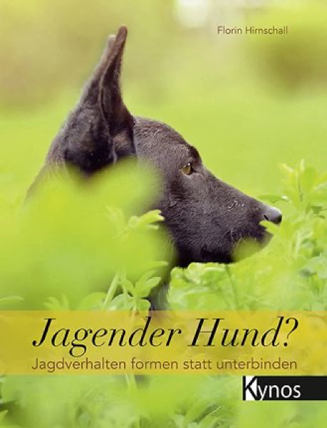 Buch Jagender Hund