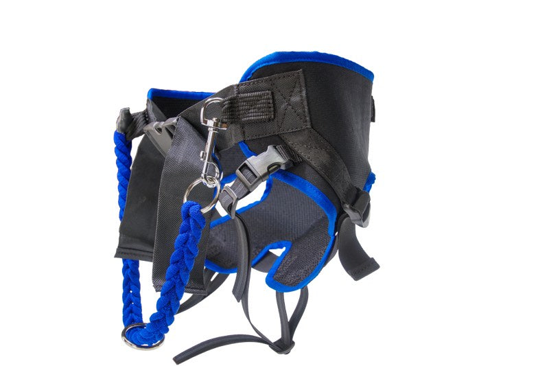 Jogging Hose für Cani-Cross
