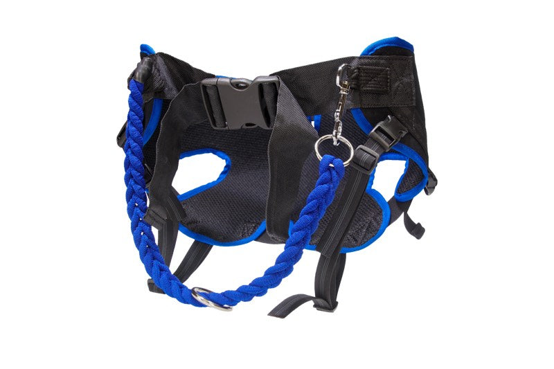 Jogging Hose für Cani-Cross