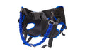 Jogging Hose für Cani-Cross