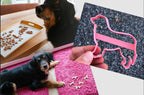 Hund, Ausstechform, Hundekekse, Alltag, Teppich