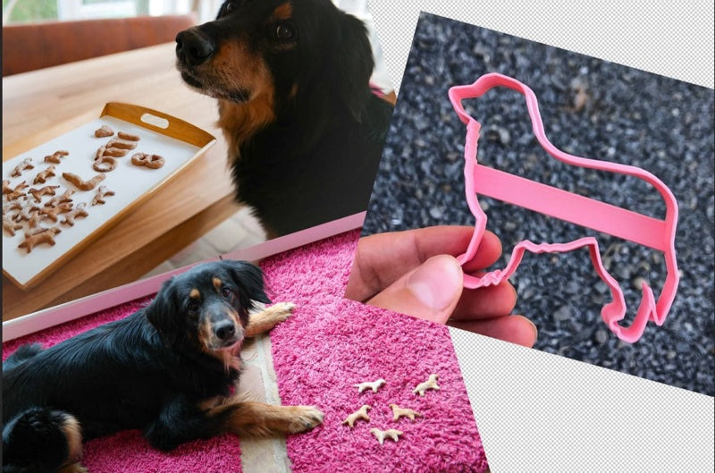 Hund, Ausstechform, Hundekekse, Alltag, Teppich