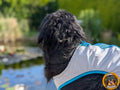 Rückansicht eines schwarzen Hovawarts, der eine helle (vermutlich weiße oder hellgraue) Kühlweste mit leuchtend blauem Rand trägt. Der Hund blickt auf ein Gewässer im Hintergrund, umgeben von grünem Laub und mit Sonnenschein. Unten rechts ist ein rundes Logo mit einem Hovawart und dem Text "Born to Rock - www.hovawart.rocks" zu sehen.