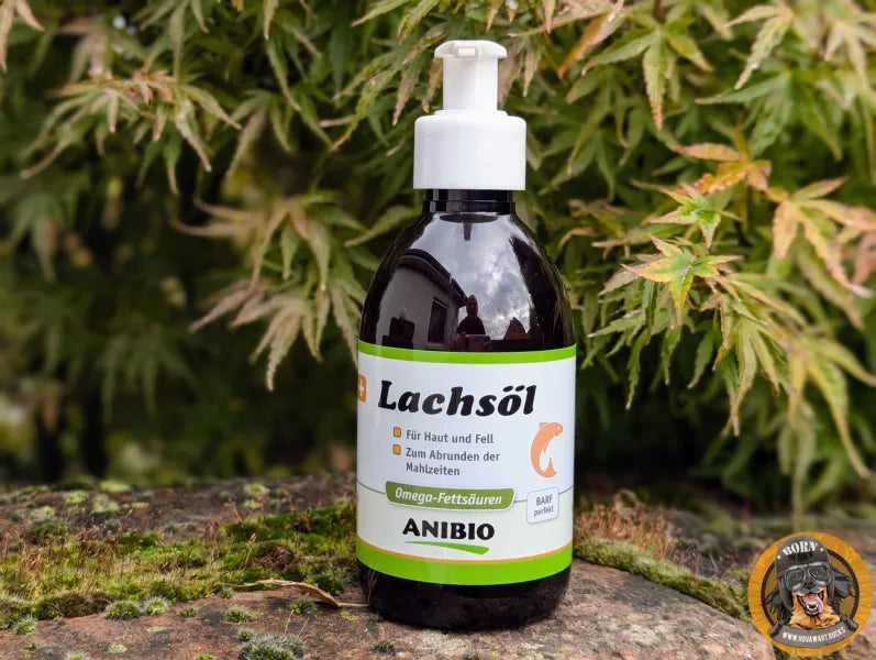 Flasche Lachsöl für Hunde