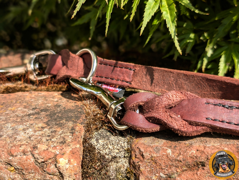 Fettleder Führleine auf einer Mauer