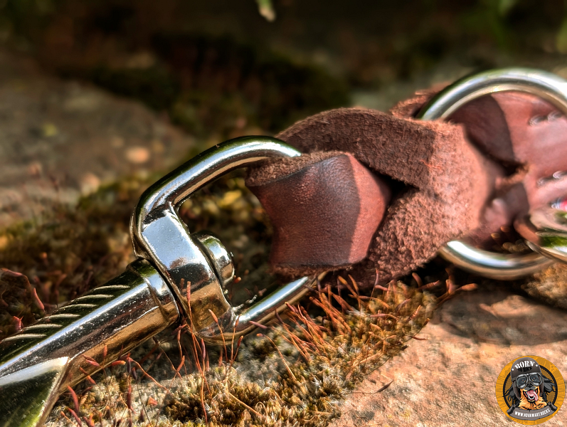 Fettlederleine Handarbeit mit Karabiner