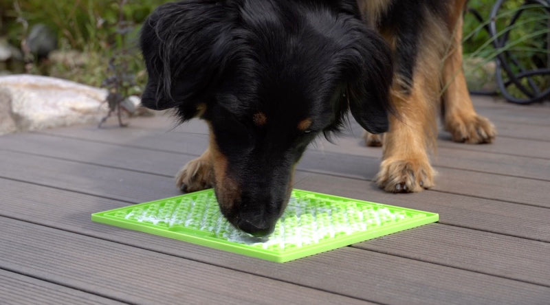 LickiMat mit einem Hund, der Futter davon leckt, dies reduziert Stress