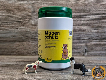 Nahaufnahme der Dose "Magenschutz Gastric Protection" zur Regeneration des Magen-Darm-Traktes bei Hunden mit Sodbrennen und Licky Fits. Davor stehen zwei Hunde-Spielfiguren.