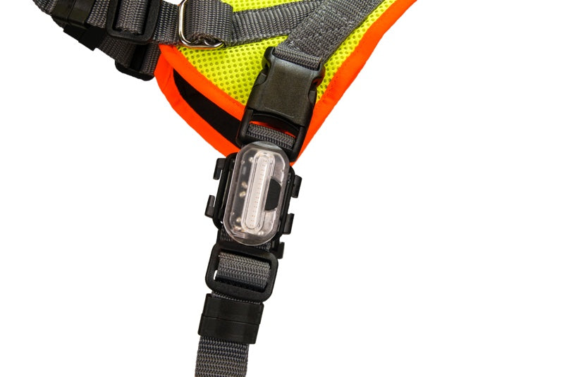 Hundegeschirr mit LED-Licht, Detailansicht