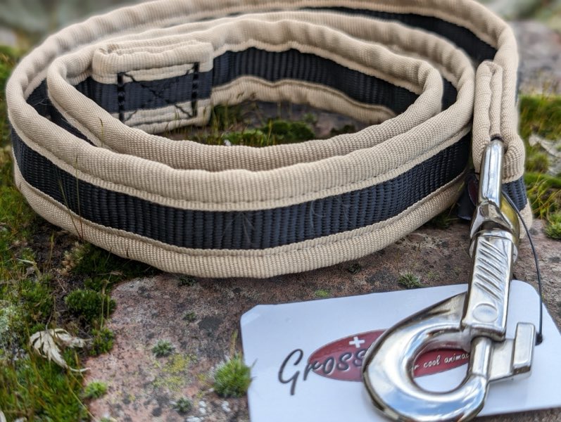 Robuste Hundeleine für große Hunde