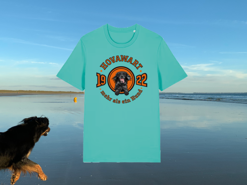 Türkises Hovawart-Shirt am Strand