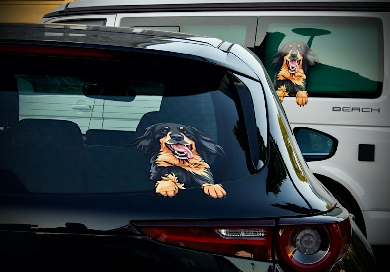 Hovawart Aufkleber auf zwei Autos