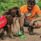 Wasserflasche mit Becher für den Hund
