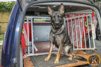 Ein Schäferhund sitzt im Kofferraum eines blauen Autos vor einer Hundebox. Im Hintergrund ist ein Saferider-Sicherheitssystem erkennbar.