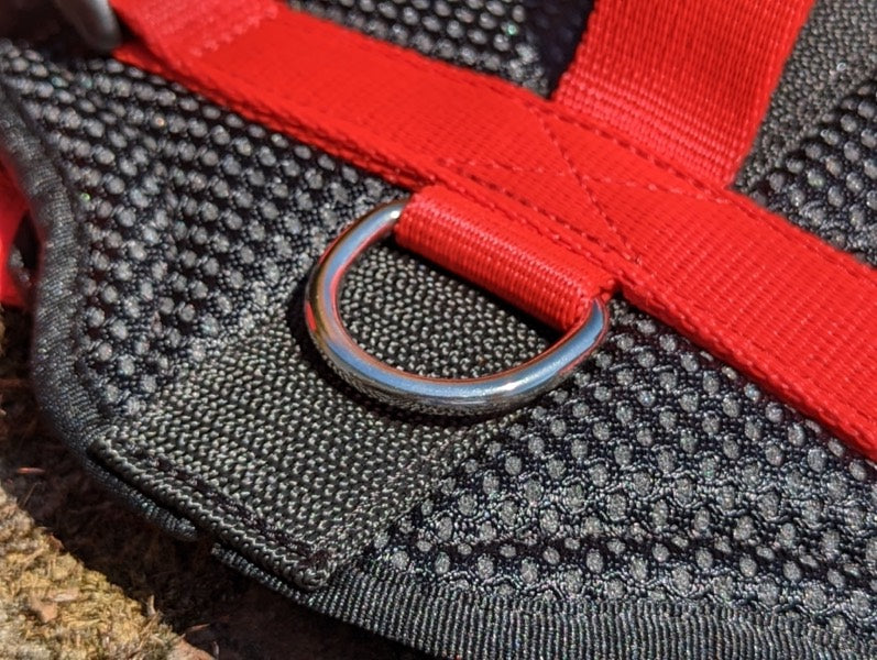Hundegeschirr Detail mit Metallring