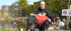 Schwimmweste an einem Hovawart