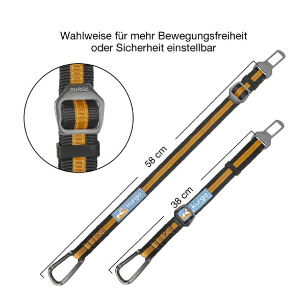 Den Hund sicher im Auto anschnallen