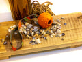 Hundespielzeug mit Wurfband, Muscheln