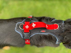 Grossenbacher Geschirr SWISS