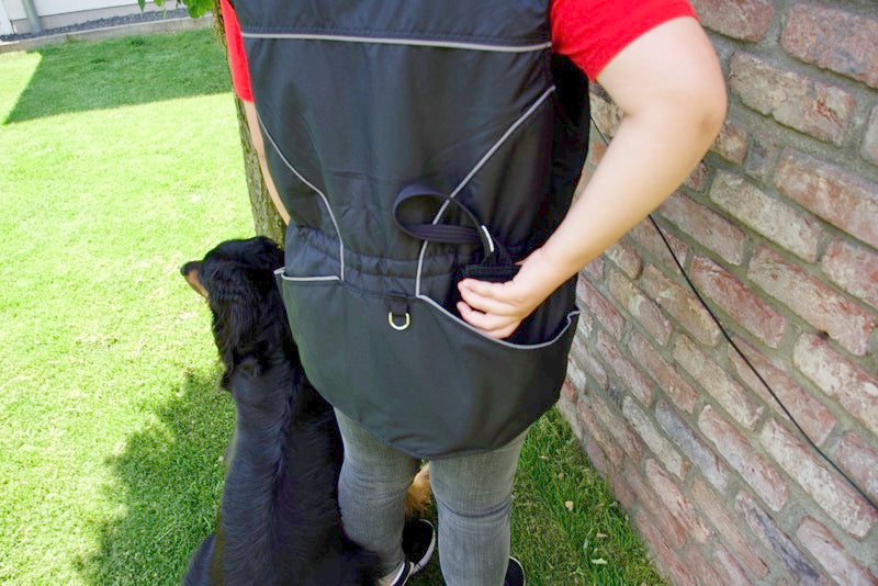 Hundebesitzer mit Trainingsweste draußen