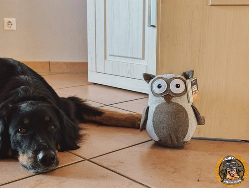Großer Hund mit Hundespielzeug-Eule